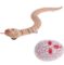 Novelty Remote Control Snake Rattlesnake Animal Trick Terrifying Mischief Toy - Image 5